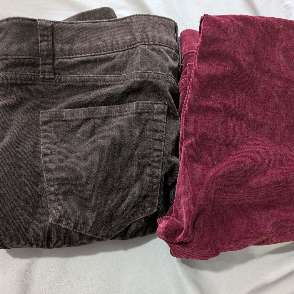 St. John's Bay cord's